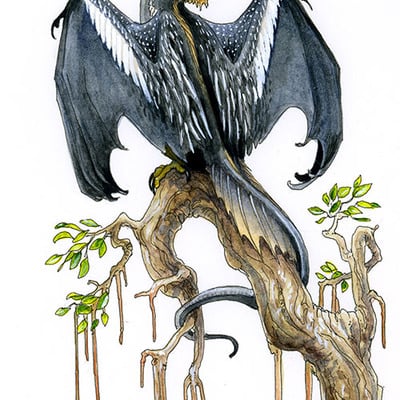 "dranhinga," dragon, ink & watercolor painting