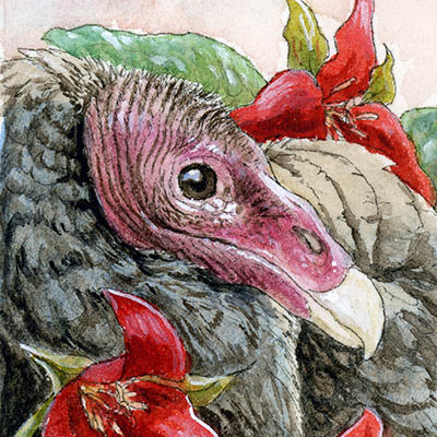"vulture with trilliums" ink & watercolor painting