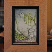 "Dove with Orchids" Ink & Watercolor Painting - Thumbnail 1