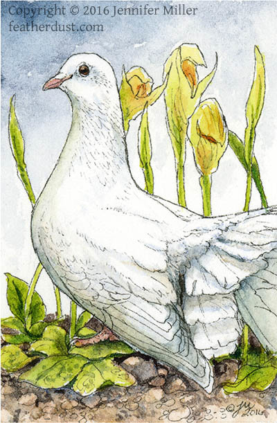 "Dove with Orchids" Ink & Watercolor Painting