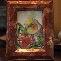 "Cockatiel with Bromeliad" Ink & Watercolor Painting - Thumbnail 1