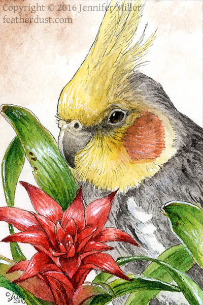 "Cockatiel with Bromeliad" Ink & Watercolor Painting