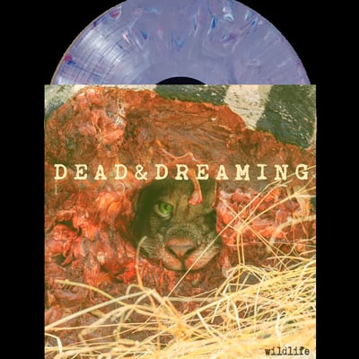 Dead and dreaming - wildlife 7" 