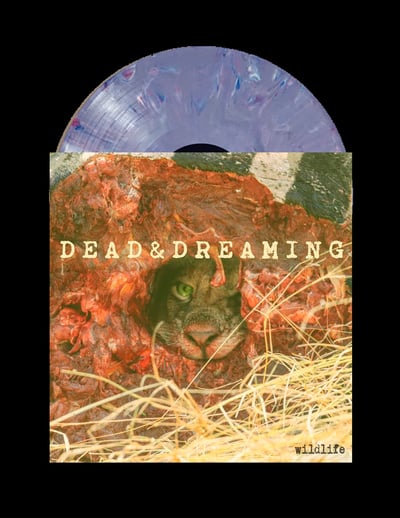 Dead and Dreaming - Wildlife 7" 