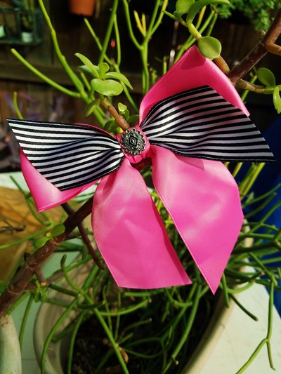 Strawberry Soda barrette