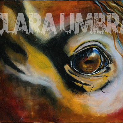 Killing pens, a horses fear