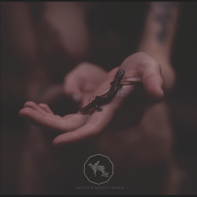 Theologian+the vomit arsonist - nature is satan's church 2lp