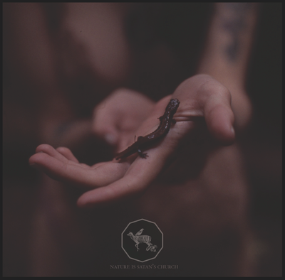 THEOLOGIAN+THE VOMIT ARSONIST - Nature is Satan's Church 2LP