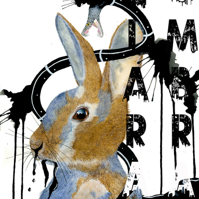 Nodapl rabbit "dying inside" 