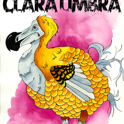 "extinction in pink washes" 