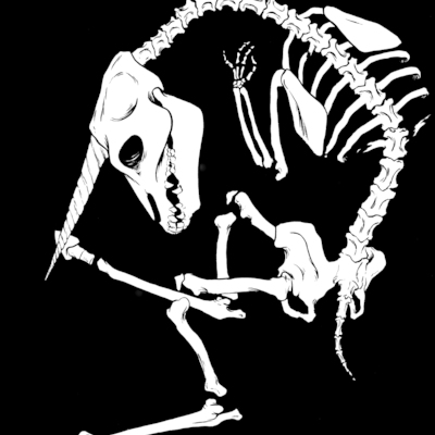 Unice: skeleton v (8x10 print)