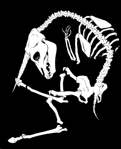 Unice: Skeleton V (8x10 print)