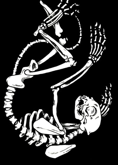 Cattish: Skeleton III (5x7 print)