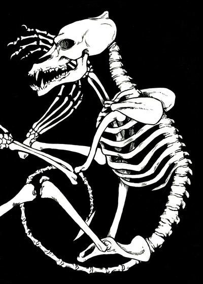 Wolfish: Skeleton I (5x7 print)
