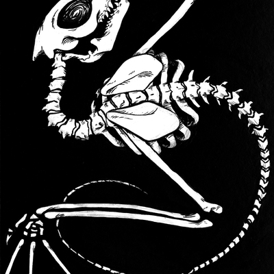 Wyvern: skeleton ii (5x7 print)