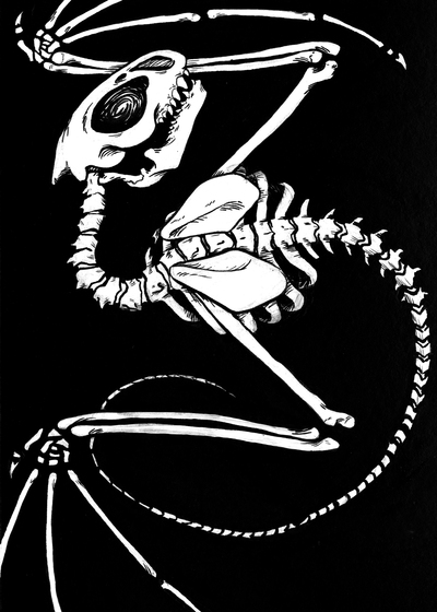 Wyvern: Skeleton II (5x7 print)