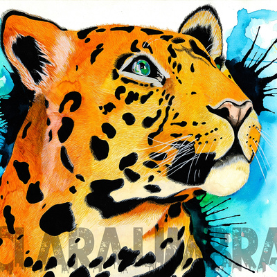 "jaguar and sonnets" 
