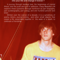 Crazy Beautiful Life - Thumbnail 2