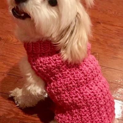 Crochet dog sweater