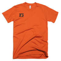 F5 [Alternative] - Thumbnail 11