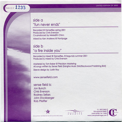 Sense field - "fun never ends" 7in - gray /2000 - Thumbnail 5