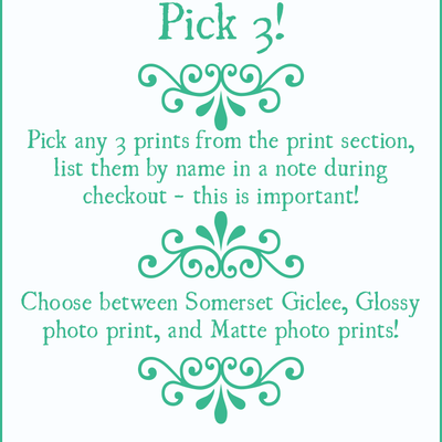 [print] 9x12 pick 3!