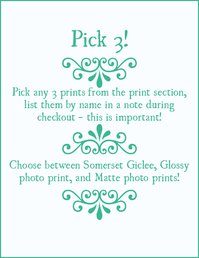 [Print] 9x12 PICK 3!