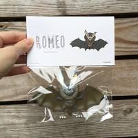 Fufufanny - Thumbnail 1