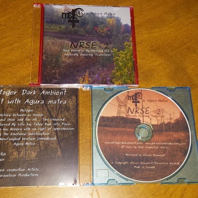 Nrse 2 "naturally occuring transitions"