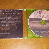 NRSE 2 "Naturally Occuring Transitions" - Thumbnail 2