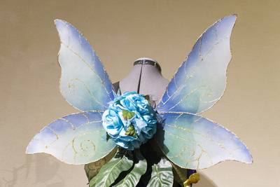 Basic Style Fairy Wings