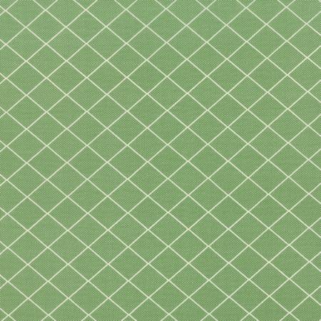 Bread N Butter Green