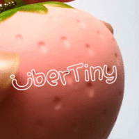 Kiibru Super Soft Strawberry Squishy (scented!) - Thumbnail 2