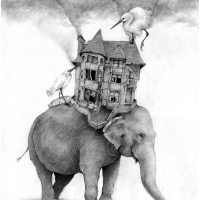 Playing with matches elephant