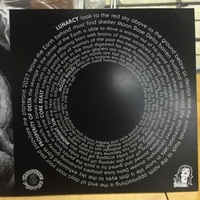 Stagnation - 2027 7" - Thumbnail 2