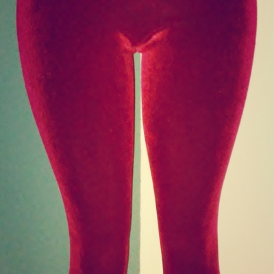 Fh velvet highwaist pant