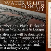 2016 Phish Summer Match Numbered 6 Print Set - Thumbnail 4