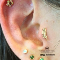 Feather - Thumbnail 3