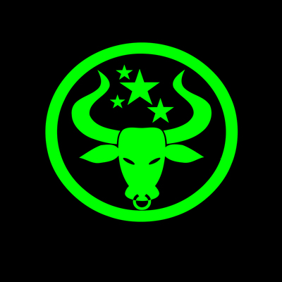 Stars bull head outdoor vinyl decal 7 inch handmade