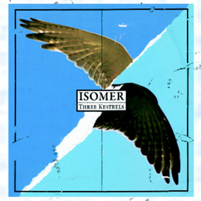 Isomer 'three kestrels' 12" - Thumbnail 4