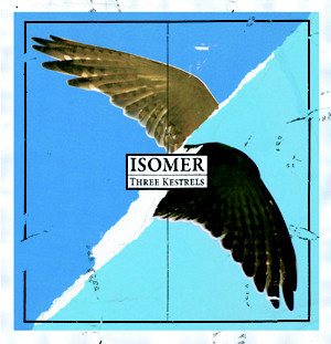 Isomer 'Three Kestrels' 12"