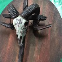 Noah's Crate Studio  - Thumbnail 3