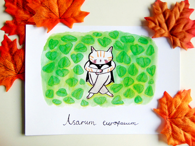 European Wild Ginger 