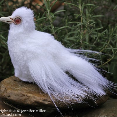 "coo", the albino dove soft sculpture