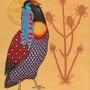 Endangered Western Tragopan Pheasant-1