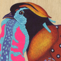 Temmincks Tragopan - Thumbnail 1