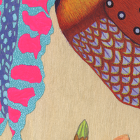 Temmincks Tragopan - Thumbnail 2