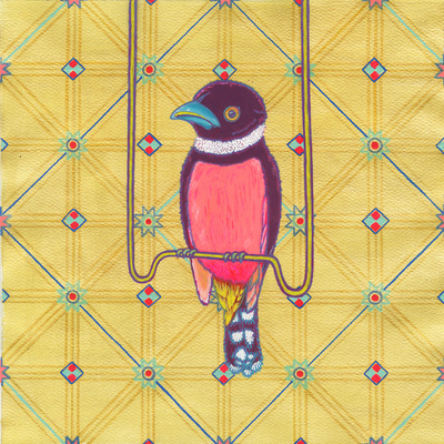 Yellow and black broadbill in a cage in the west hills of la