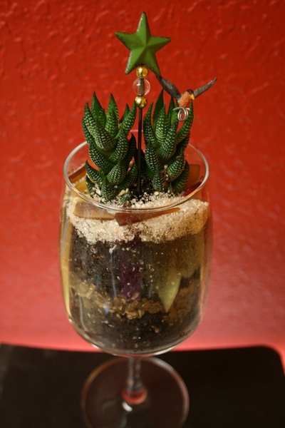 Wineglass Succulent Terrarium Kit