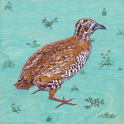 Punjab jungle bush quail